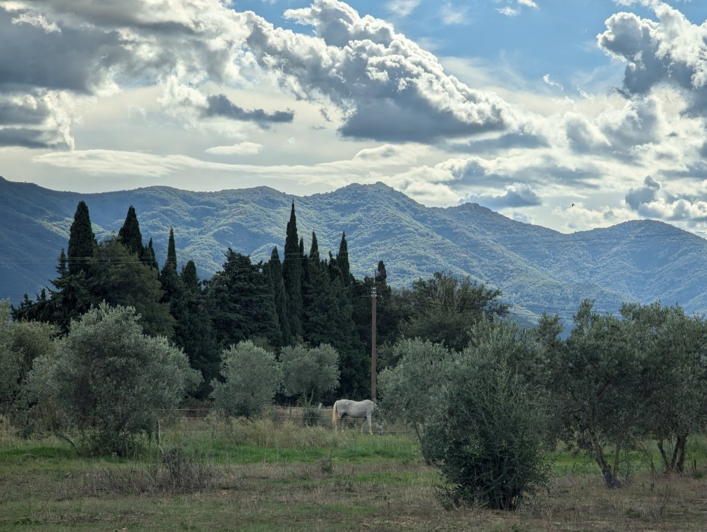 Vue de la caravane sur la chaîne des Albères